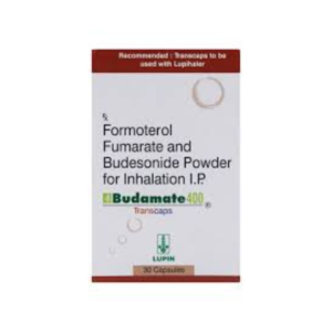 BUDAMATE-400 – TRANSCAPS