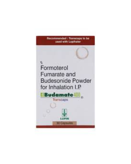 BUDAMATE-400 – TRANSCAPS