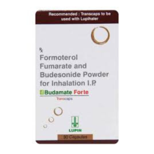 BUDAMATE FORTE – TRANSCAPS