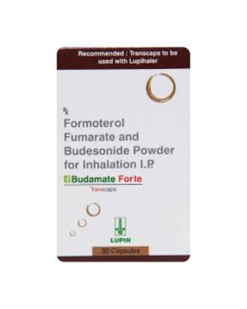 BUDAMATE FORTE – TRANSCAPS