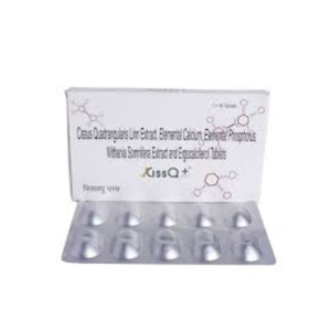 CISSQ PLUS TAB