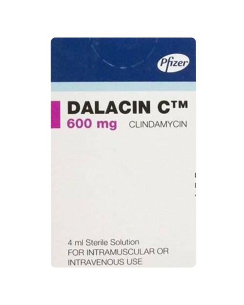 DALACIN C 600MG INJ