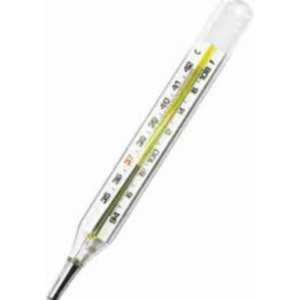 EASYCARE OVAL THERMOMETER