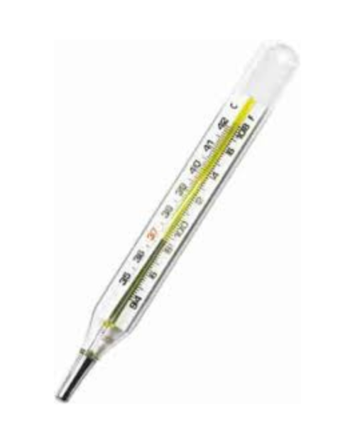 EASYCARE OVAL THERMOMETER